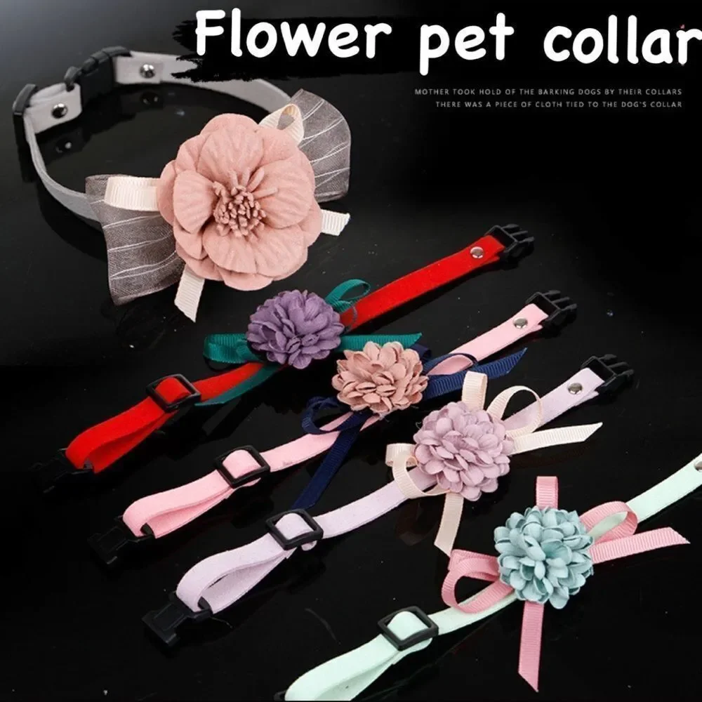 ⛔️ CLEARANCE ⛔️ Blue Tosca Flower Pet Collar